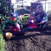 Grow your own fruit and veg!