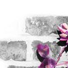 Live Music at the Hub - Stone Flowers 
