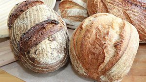 Companio Bakery